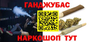 индика Сланцы