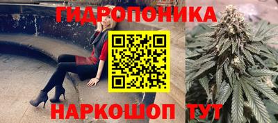 стаф Ставрополь