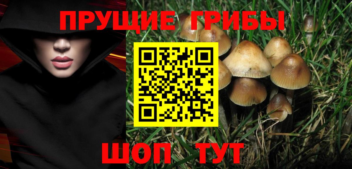 Белово  Галлюциногенные грибы прущие грибы  Вход с VPN  Псилоцибиновые грибы Psilocybine cubensis 